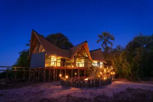 Evenings in the Okavango Delta herald a blanket of stars, illuminating the landscape.
