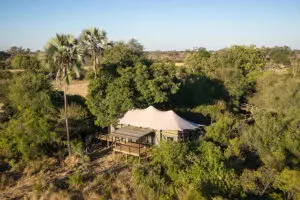 Luxury tentented suites look out over the Okavango wilderness.