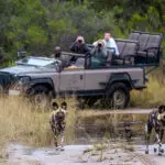 Game drives on a private concession | Jao Reserve Little Tubu