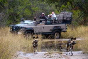 Game drives on a private concession | Jao Reserve Little Tubu