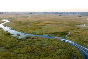 Boating safaris reach areas vehicles can't.