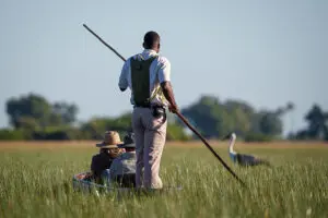 A mokoro safari is the most serene way to experience the Delta.