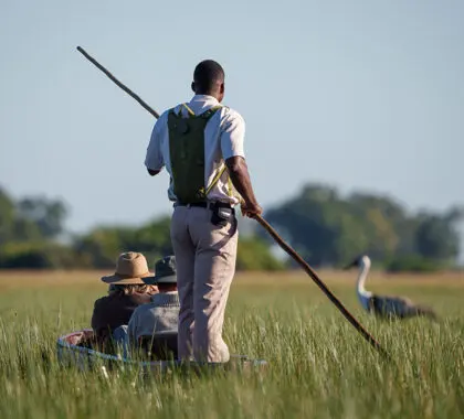 A mokoro safari is the most serene way to experience the Delta.