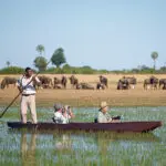 Safaris en mokoro.