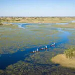 Experience a mokoro safari.