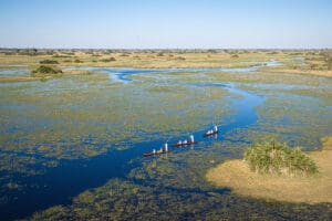 Experience a mokoro safari.