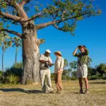 Walking safaris.