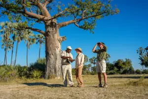 Walking safaris.