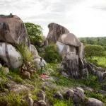 Copas al atardecer tras un safari.