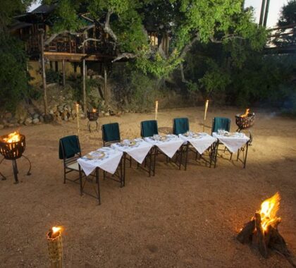 Enjoy a memorable evening siting under the stars while being treated to a sumptuous African feast.
