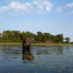 In a private concession with prime game-viewing.