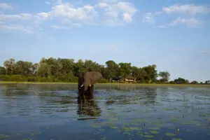 In a private concession with prime game-viewing.
