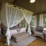 Spacious and luxurious accommodation.