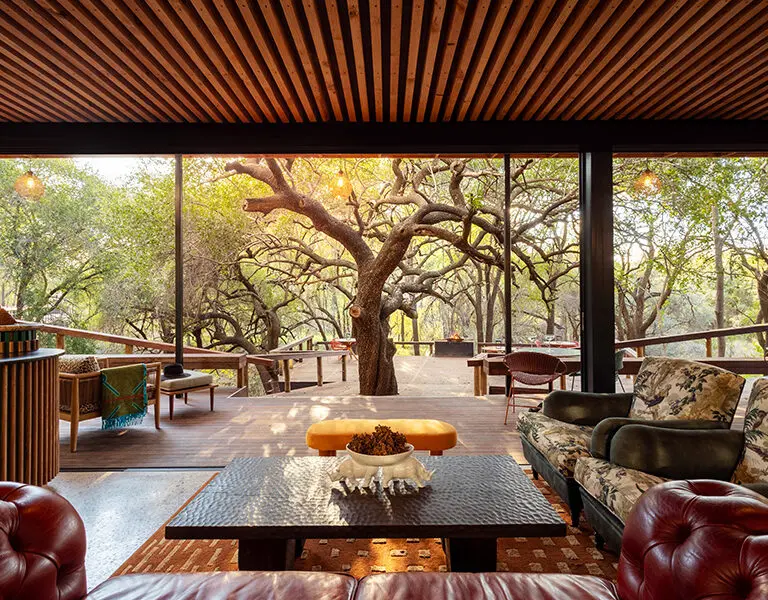 Main lodge area. 