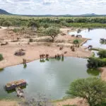 Enjoy some time observing wildlife from the Terrapin Hide at Jaci's Private Lodge.
