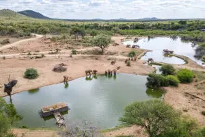Enjoy some time observing wildlife from the Terrapin Hide at Jaci's Private Lodge. 