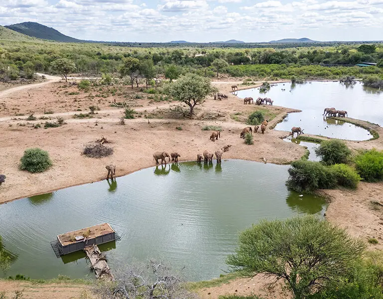 Enjoy some time observing wildlife from the Terrapin Hide at Jaci's Private Lodge. 
