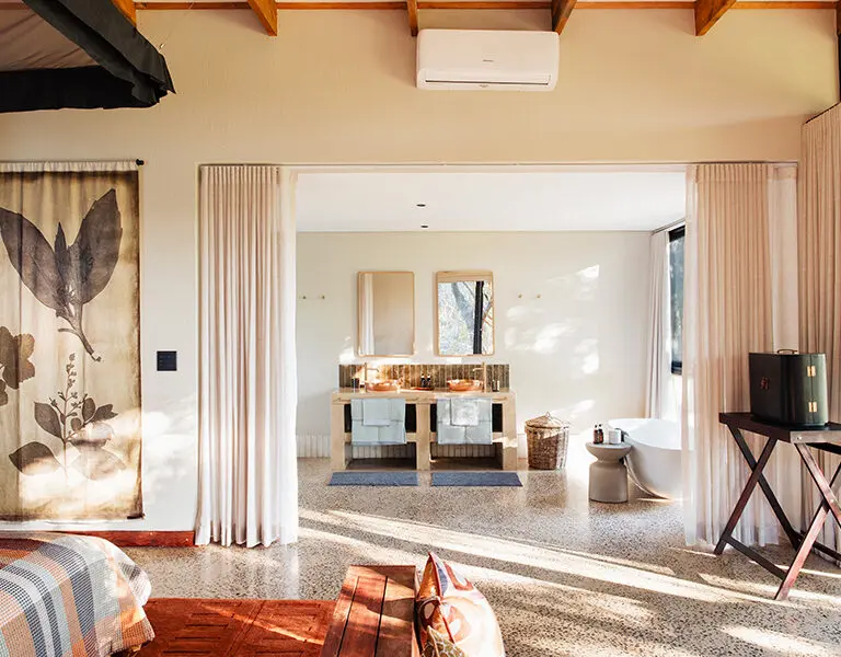 Safari Suite Expeditions interior.
