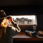 Practice your photography or simply relax and enjoy the wildlife from the Terrapin Hide ~ Jaci's Private Lodge.