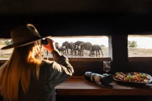 Practice your photography or simply relax and enjoy the wildlife from the Terrapin Hide ~ Jaci's Private Lodge. 