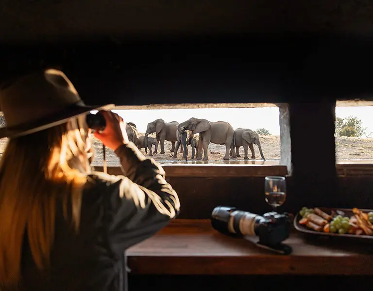 Practice your photography or simply relax and enjoy the wildlife from the Terrapin Hide ~ Jaci's Private Lodge. 