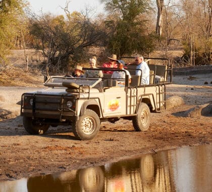 Los vehículos de safari descapotables le llevarán a explorar las concesiones privadas de Sabi Sands.