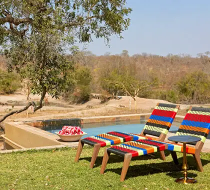Relájese junto a la piscina después del avistamiento de animales y disfrute de las vistas del jardín autóctono.