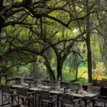 Cena al aire libre en el Jaci's Safari Lodge.