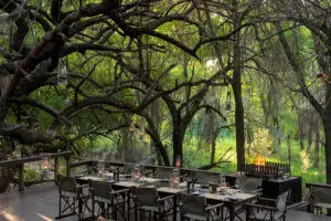 Cena al aire libre en el Jaci's Safari Lodge.