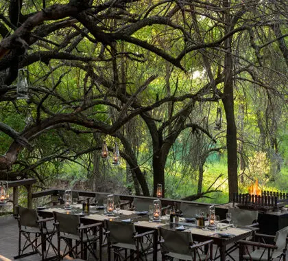 Cena al aire libre en el Jaci's Safari Lodge.
