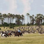 Horse riding on offer.