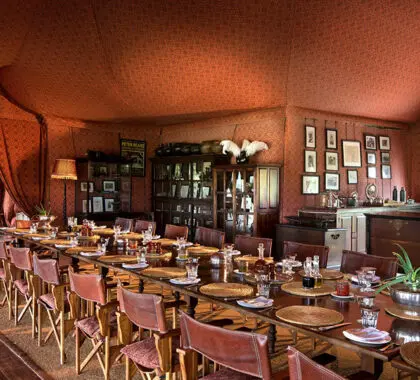 Carpa comedor principal.