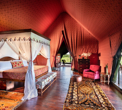 Guest tent - interior.