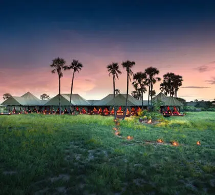 Jacks Camp, Botswana