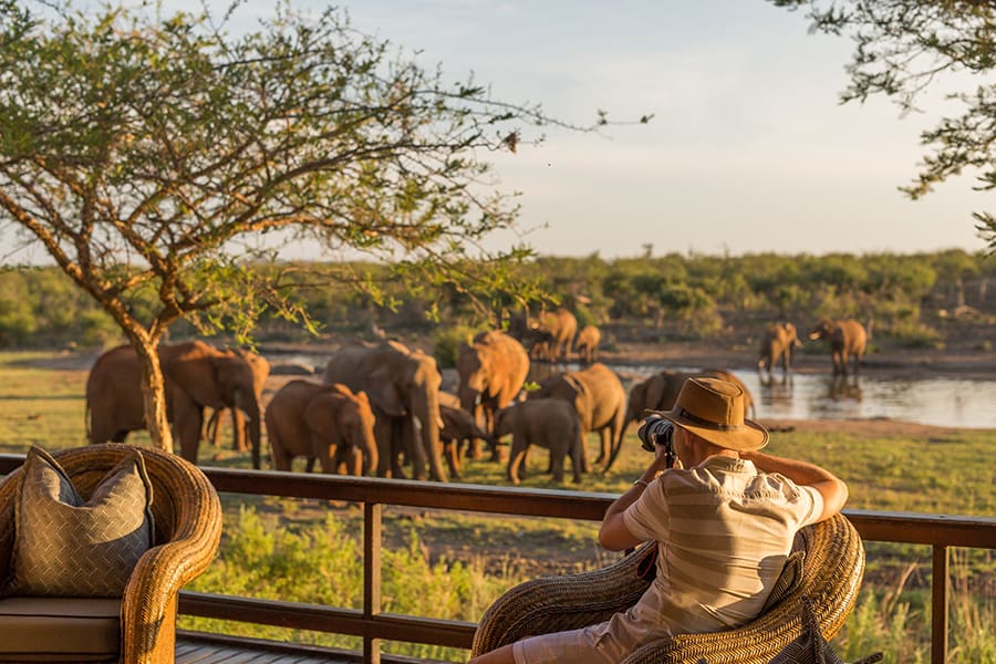 Elephants drink from a nearby waterhole and meander around while a man sits on the balcony of Jamala Madikwe with his camera | Go2Africa