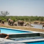 Relax in the hot tub or swimming pool which overlooks a busy waterhole.
