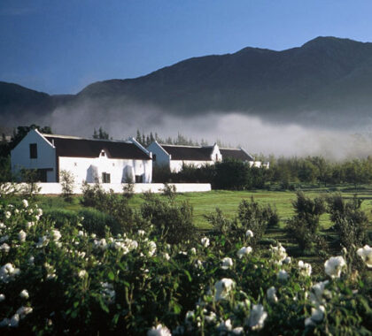 Jan Harmsgat Country House offers a traditional country experience in the beautiful Roberson Wine Valley region.
