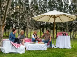Pase tiempo con su familia relajándose en el césped, disfrutando de un picnic y de un buen vaso de vino Jan Harmsgat.