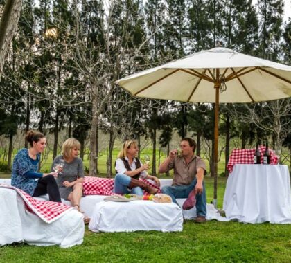 Spend time with your family relaxing on the lawns, enjoying a picnic and good glass of Jan Harmsgat wine!
