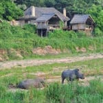 Surrounded by magnificent trees and an abundance of  wildlife.