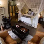 Spacious safari suites.