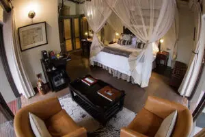 Spacious safari suites.