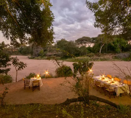 Cena al aire libre con vistas.