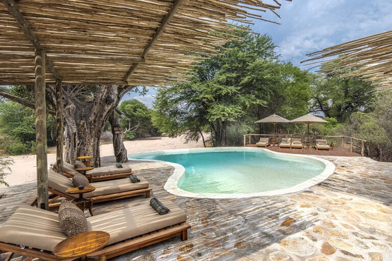 Cool off in the Jongomero swimming pool.