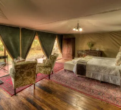 KadizoraCamp-TwinBedroom-Tardes