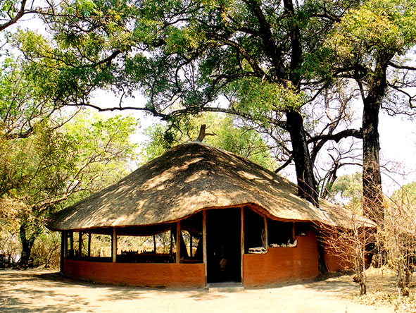 Family-owned Kaingo is one of the best established Luangwa camps, noted for its personal touches.
