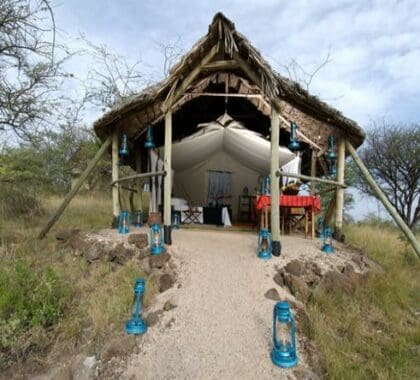 The freestanding chalets offer pure privacy.