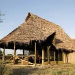 El campamento está rodeado de naturaleza tranquila.