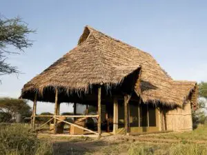 El campamento está rodeado de naturaleza tranquila.