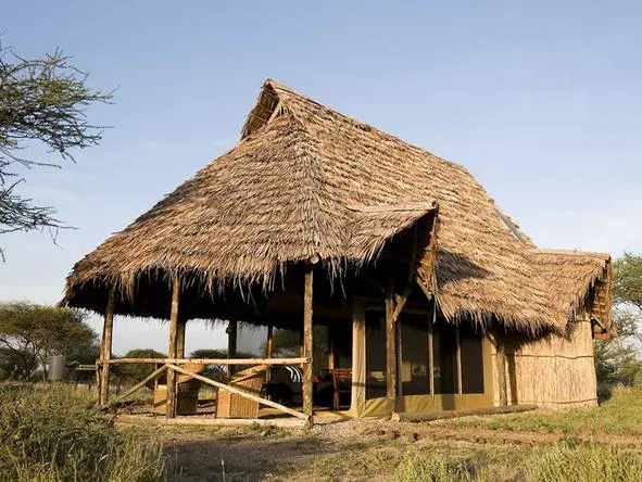 El campamento está rodeado de naturaleza tranquila.